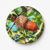 Galilee Acorn Papieren Bordje (Voorkant)