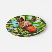 Galilee Acorn Papieren Bordje (Gekanteld)