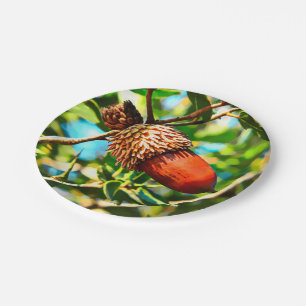 Galilee Acorn Papieren Bordje