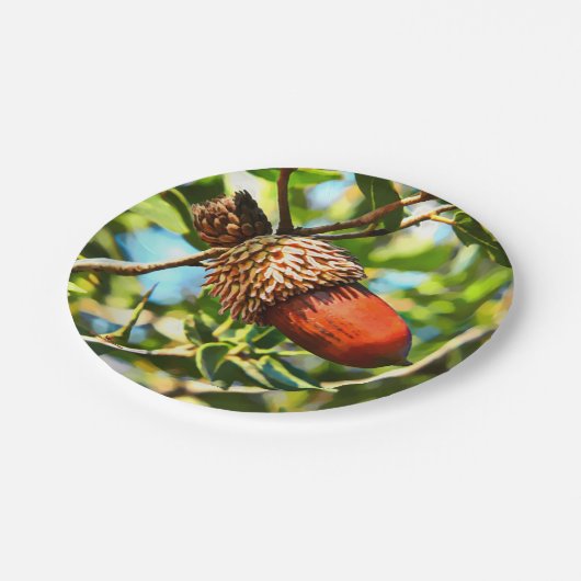 Galilee Acorn Papieren Bordje (Gekanteld)