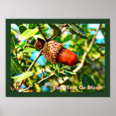 Galilee Acorn Poster (Voorkant)