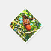 Galilee Acorn Servetten (Hoek)