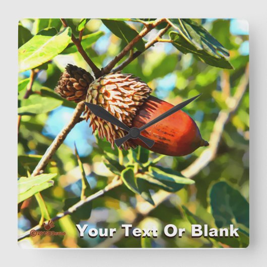 Galilee Acorn Vierkante Klok (Voorkant)