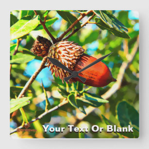 Galilee Acorn Vierkante Klok