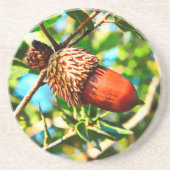 Galilee Acorn Zandsteen Onderzetter (Voorkant)