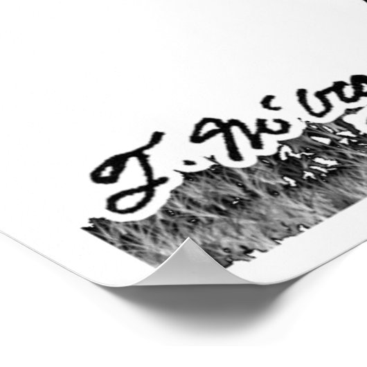 Galileo Cartoon 0958 Poster (Hoek)