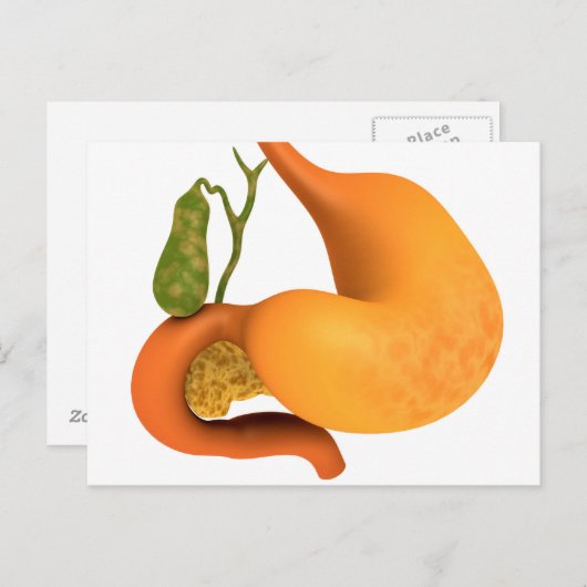 Gall-bladder met stomach briefkaart (Voorkant / Achterkant)