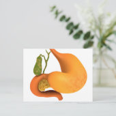 Gall-bladder met stomach briefkaart (Staand voorkant)