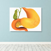 Gall-bladder met stomach canvas afdruk (Insitu (Houten vloer))