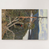 Gallen-Kallela - Great Black Woodpecker 1894 Legpuzzel (Horizontaal)