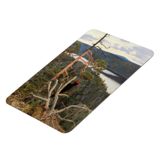 Gallen-Kallela - Great Black Woodpecker 1894 Magneet (Linkerzijde)