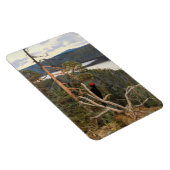 Gallen-Kallela - Great Black Woodpecker 1894 Magneet (Rechterzijde)