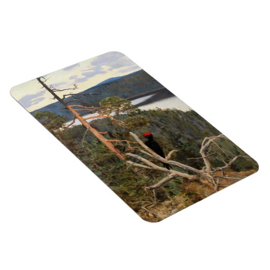 Gallen-Kallela - Great Black Woodpecker 1894 Magneet (Rechterzijde)