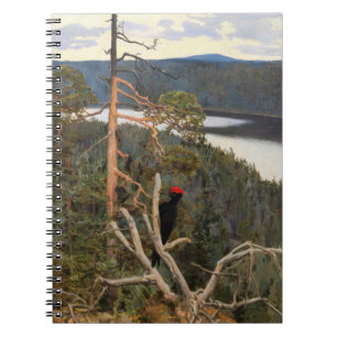 Gallen-Kallela - Great Black Woodpecker 1894 Notitieboek