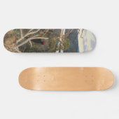 Gallen-Kallela - Great Black Woodpecker 1894 Persoonlijk Skateboard (Horizontaal)