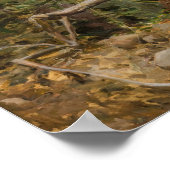 Gallen-Kallela - Great Black Woodpecker 1894 Poster (Hoek)