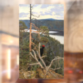 Gallen-Kallela - Great Black Woodpecker 1894 Raamsticker (Vel 2)