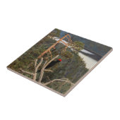 Gallen-Kallela - Great Black Woodpecker 1894 Tegeltje (Zijkant)