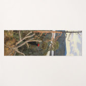 Gallen-Kallela - Great Black Woodpecker 1894 Yogamat (Voorkant (horizontaal))