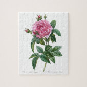 Gallic roze roze  Oude illustratie Legpuzzel (Verticaal)