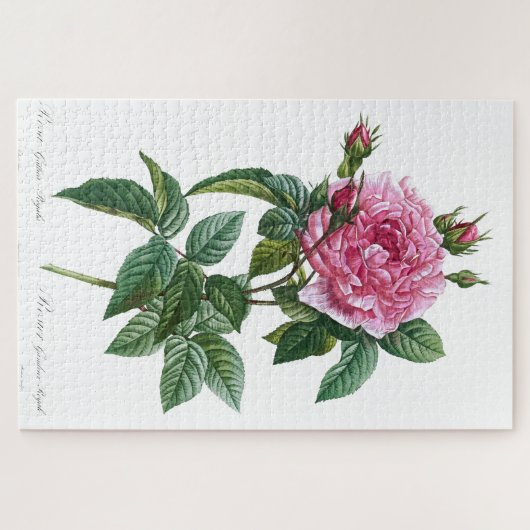 Gallic roze roze  Oude illustratie Legpuzzel (Horizontaal)