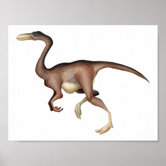 Gallimimus Poster (Voorkant)