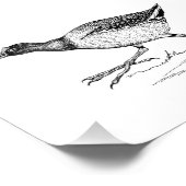 Gallinule Bird Drawing Foto Afdruk (Hoek)