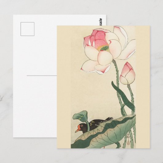 Gallinule met Lotus Flowers door Ohara Koson Briefkaart (Voorkant / Achterkant)
