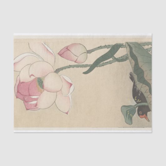 Gallinule met Lotus Flowers door Ohara Koson Tissuepapier (Voorkant)