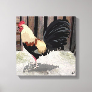 Gallo de Pelea/Gamecock Stretched Canvas Print