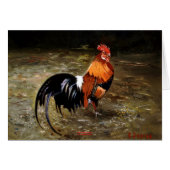 Gallo/Galo/Rooster (Voorkant Horizontaal)