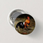 Gallo/Galo/Rooster Button (Voorkant /achterkant)