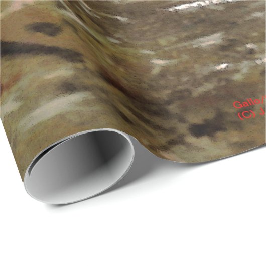 Gallo/Galo/Rooster Cadeaupapier (Rol Hoek)