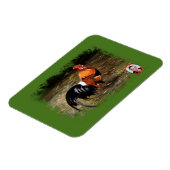 Gallo/Galo/Rooster Magneet (Linkerzijde)