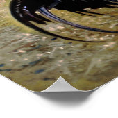 Gallo/Galo/Rooster Poster (Hoek)