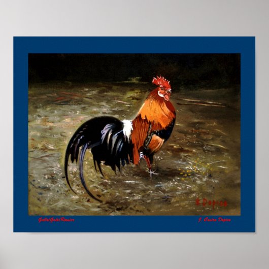 Gallo/Galo/Rooster Poster (Voorkant)
