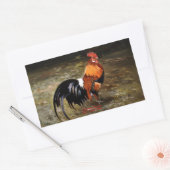 Gallo/Galo/Rooster Rechthoekige Sticker (Envelop)