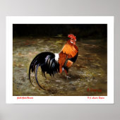 Gallo Poster (Voorkant)