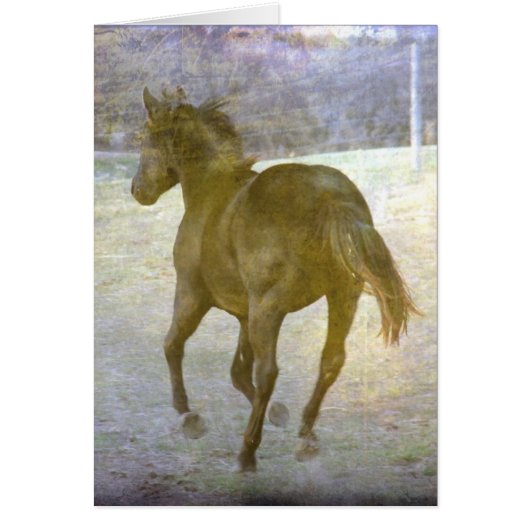 Gallop Away (Voorkant)