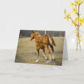 Gallop Away Kaart (Gele Bloem)