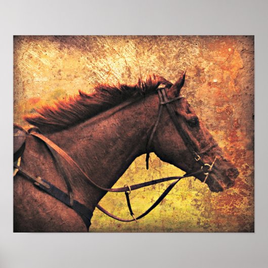 Gallop Away Poster (Voorkant)