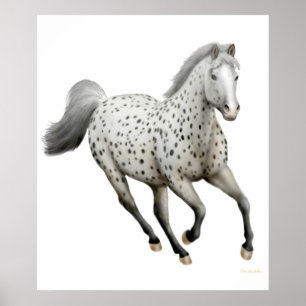 Gallopard Appaloosa Horse Print