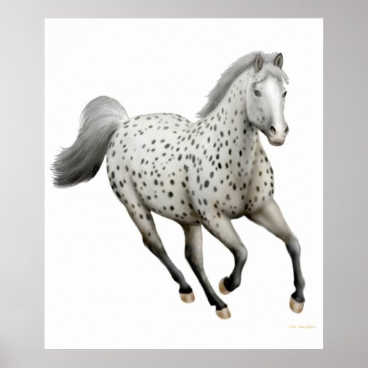 Gallopard Appaloosa Horse Print (Voorkant)