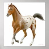 Galloping Appaloosa Horse Print (Voorkant)