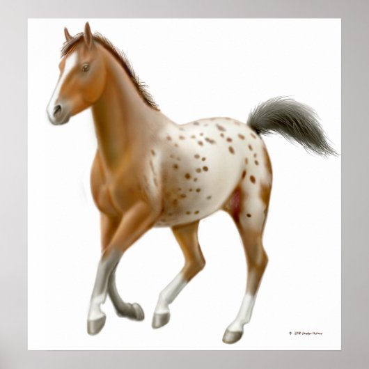 Galloping Appaloosa Horse Print (Voorkant)