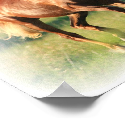 Galloping Chestnut Canvas Print (Hoek)