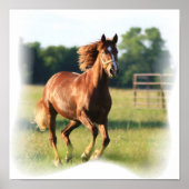 Galloping Chestnut Canvas Print (Voorkant)