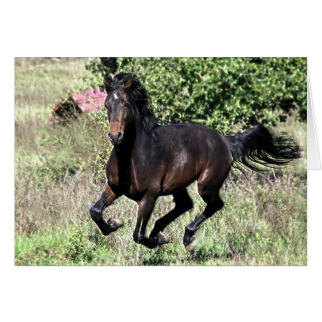 Galloping Chestnut Horse (Voorkant Horizontaal)