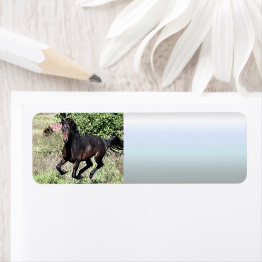 Galloping Chestnut Horse Etiket (Insitu)