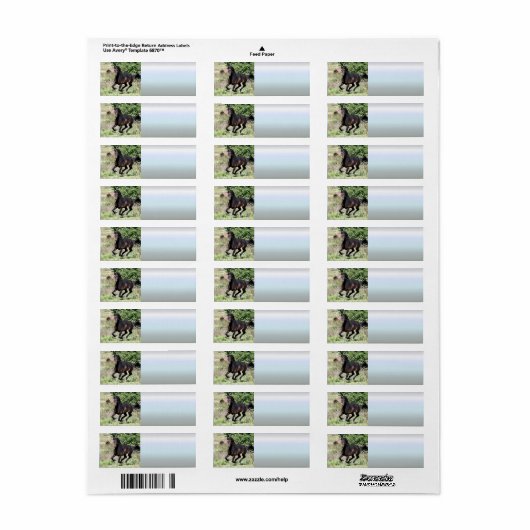 Galloping Chestnut Horse Etiket (Full Sheet)